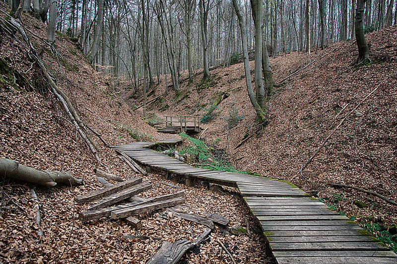 Bernhard Saalfeld - Tretschbachtal (3v9)